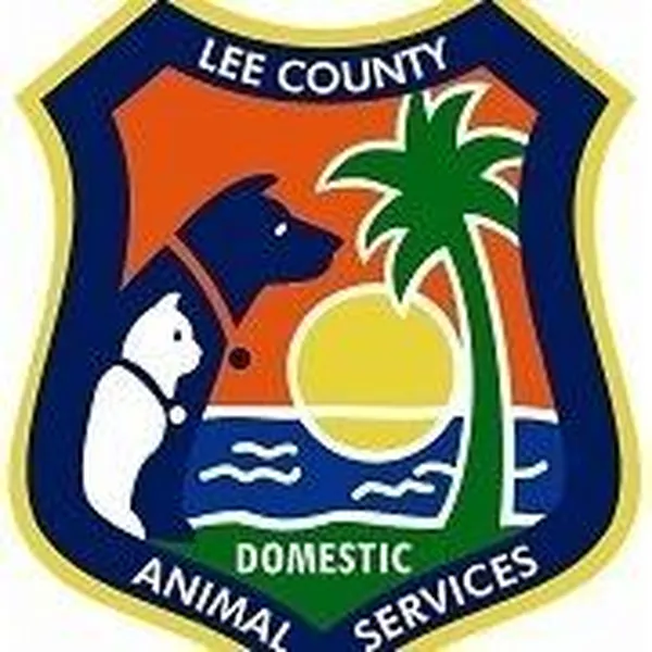 Cat Adoption Day