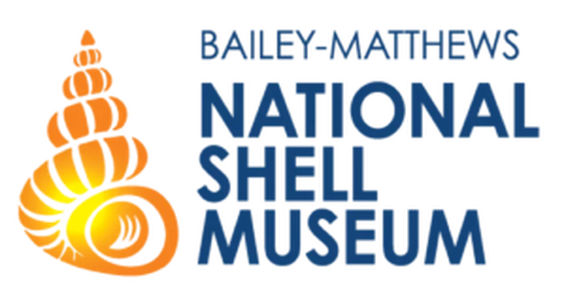 Discover Mollusks On The Move