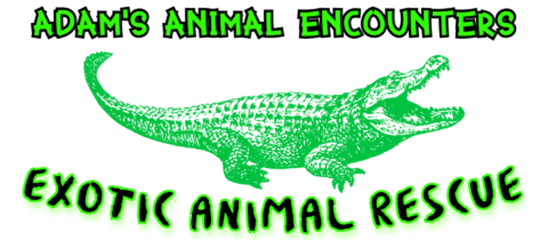 Adams Animal Encounters - Reptiles Revealed!