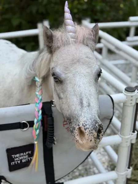 Community Helper Storytime: Naples Therapeutic Riding Center