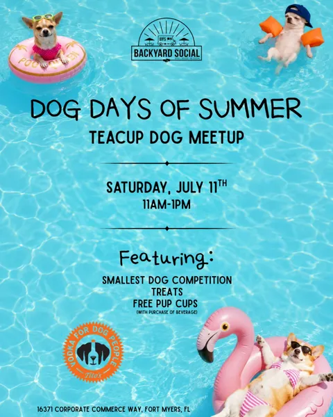 Teacup Meetup