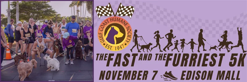 The Fast & The Furriest