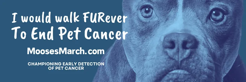 I would walk FURever To End Pet Cancer. A Fun Run/Walk for Moose's March