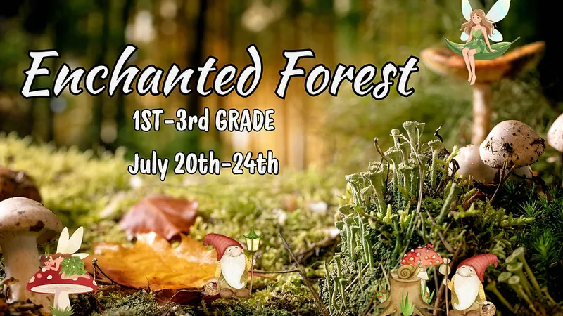 Summer Camp: Enchanted Forest (1st-3rd grade) NEW!