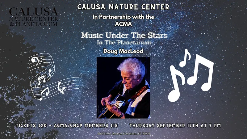 Music Under the Stars