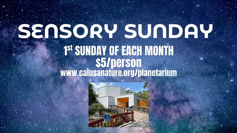 Sensory Sunday