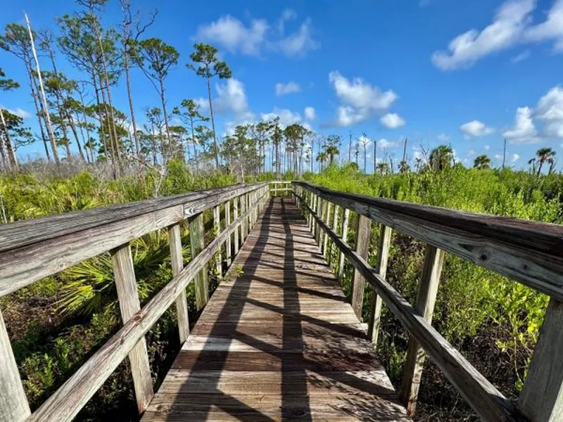 Community Restoration Monitoring Training: Shell Island Road