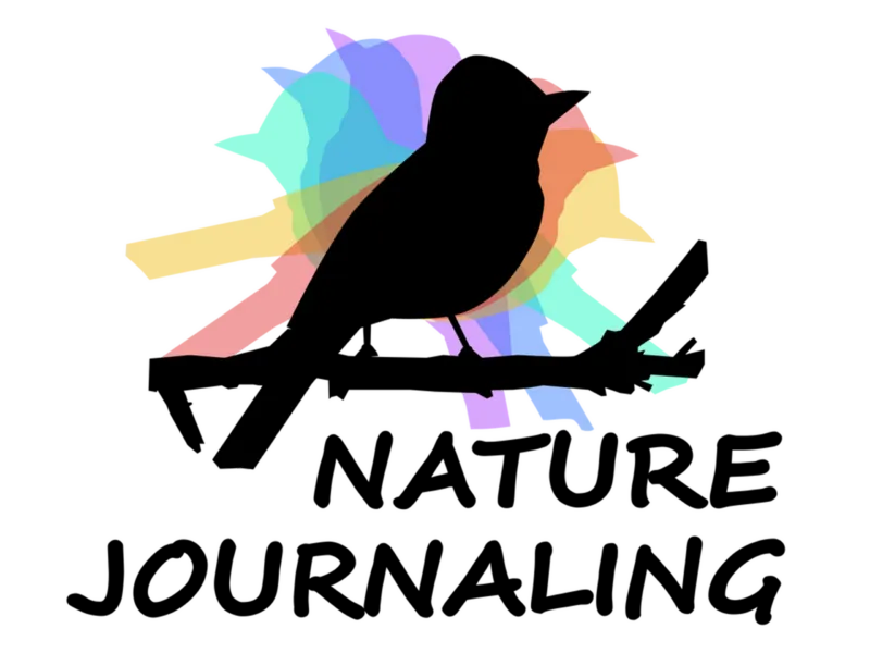 Nature Journaling Workshop