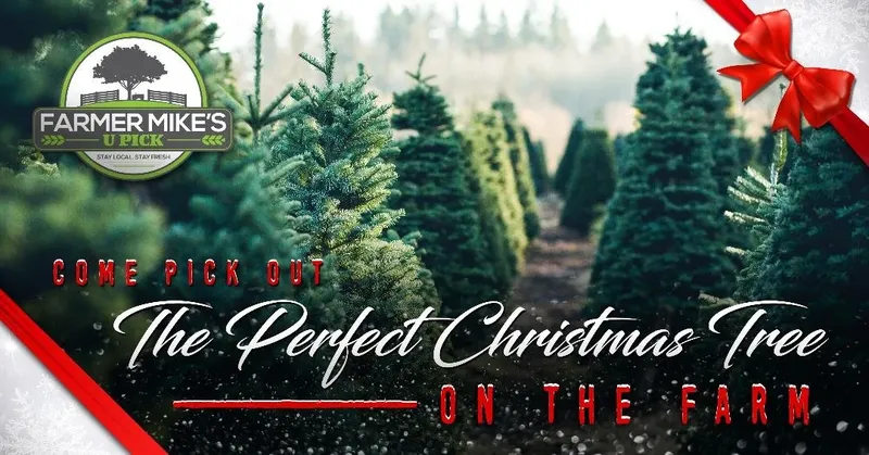 Christmas at Farmer Mikes