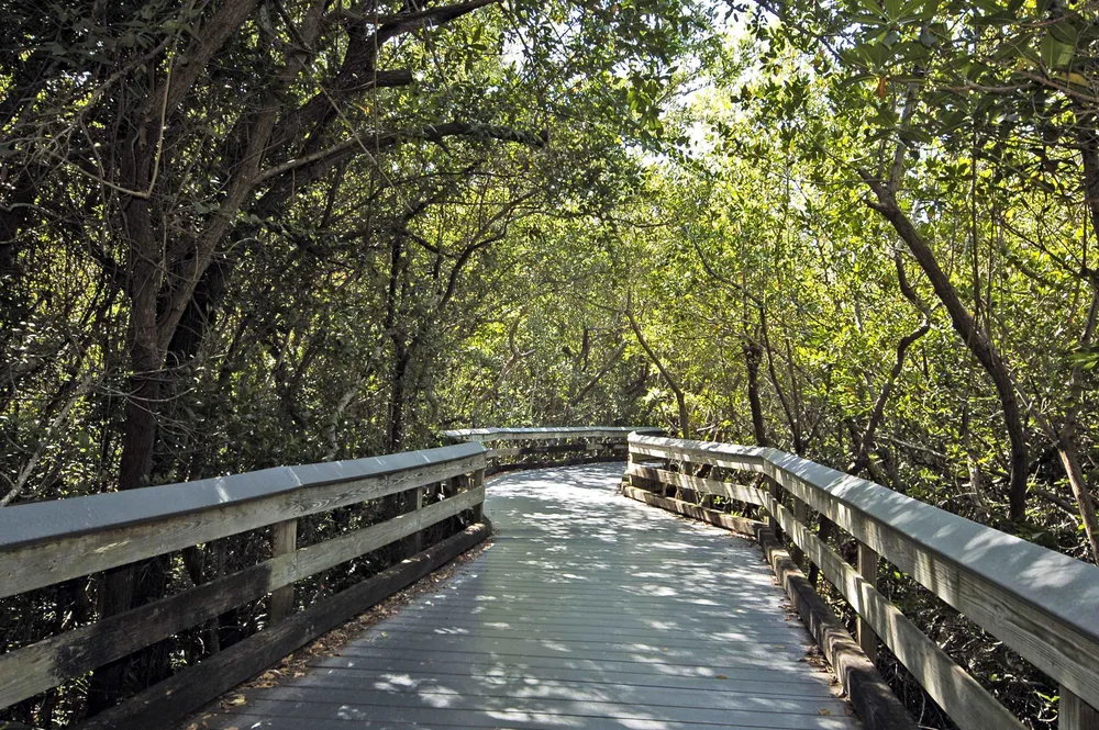 Clam Pass Beach