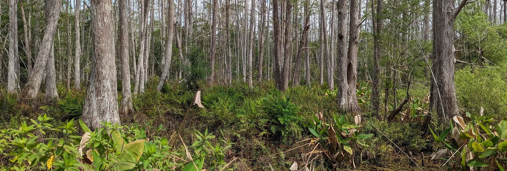 Calusa Nature Center & Planetarium