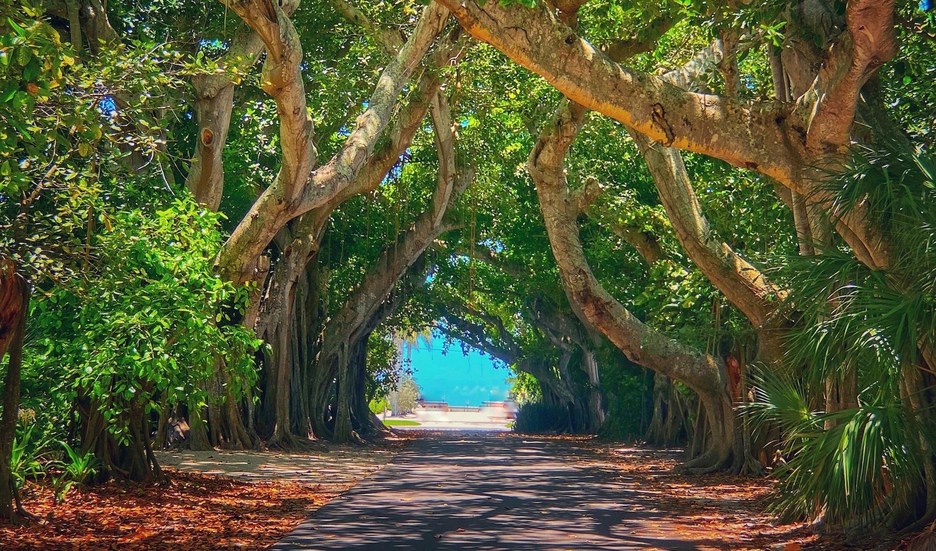 Boca Grande, Florida